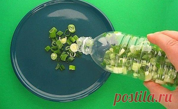 (4) Одноклассники