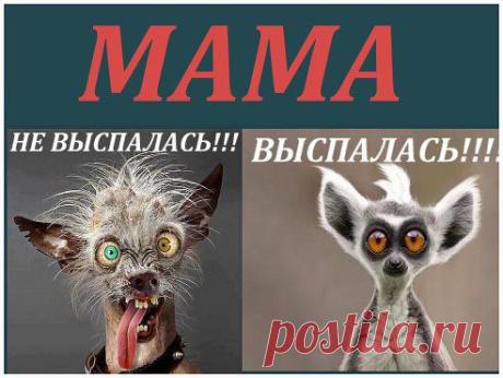 У нас счастливая семья: ПАПА - работает, МАМА - красивая.....а если выспится, то ещё и добрая)))))))))))))))))