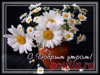 С Добрым утром! Счастья Вам! Как прекрасен утренний рассвет, он нам дарит радость, свет… Пусть будет самым добрым утро для тебя, пусть сбудется твоя заветная мечта, Пусть он будет продолжением хорошего дня, желаю тебе здоровья, счастья, удачи, тепла.   *    *    *    *    * ﻿ Скопируйте ссылку и Отправьте бесплатно родным, подругам и друзьям! Музыкальная открытка:...