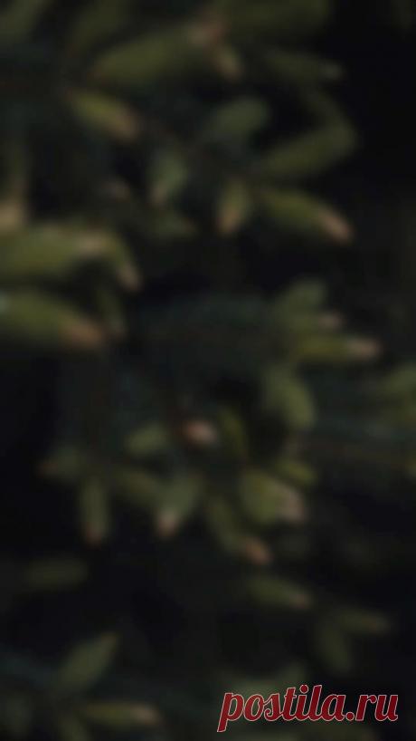 изображение вырезки