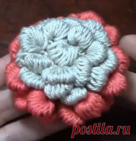 Роза