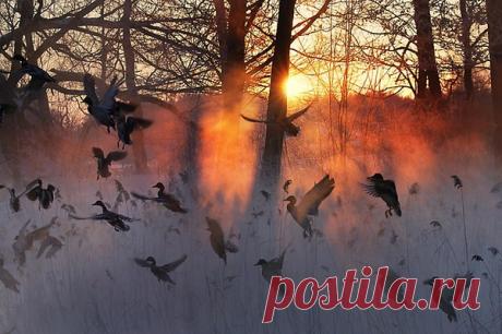 Интересные новости