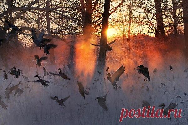 Интересные новости