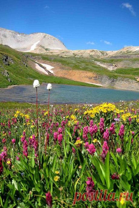 Spring in the San Juans - Durango, Colorado, flickr от Visit Durango | Pinterest: инструмент для поиска и хранения интересных идей