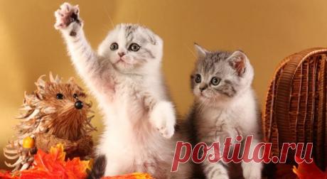 Прошу слова!!!!!