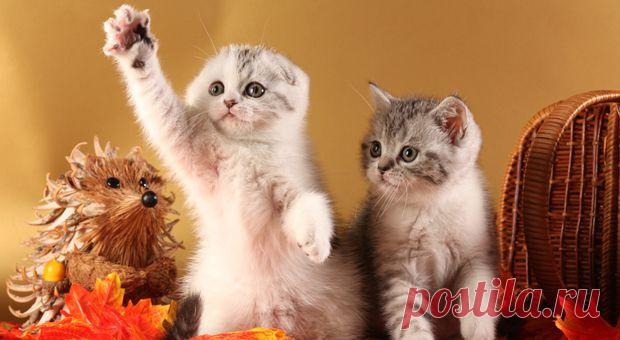 Прошу слова!!!!!