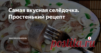Самая вкусная селёдочка. Простенький рецепт Наверное, нет человека, который равнодушно бы относился к селедке. Такая вкусная, малосоленая, жирненькая с лучком и картошечкой! Объедение! К сожалению, не всегда магазинная селедка оправдывает ожидания потребителей, особенно в летнее время, т.к. производители, чтобы продукт быстро не испортился при жаре, всегда его пересаливают.
А потому делимся отличным рецептом приготовления селедки, которая п