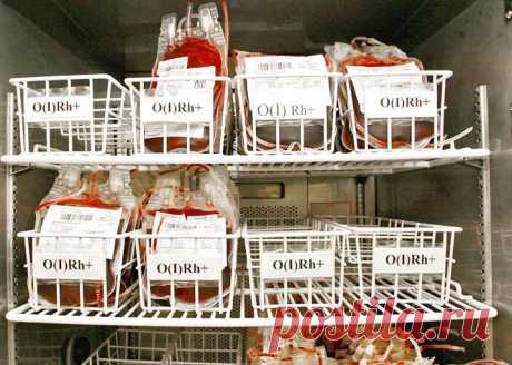 Как стать донором - Большой город