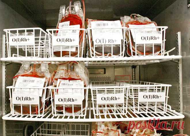 Как стать донором - Большой город