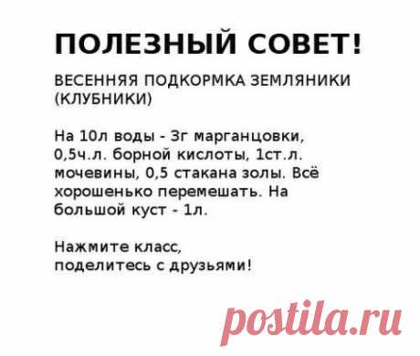 (42) Одноклассники