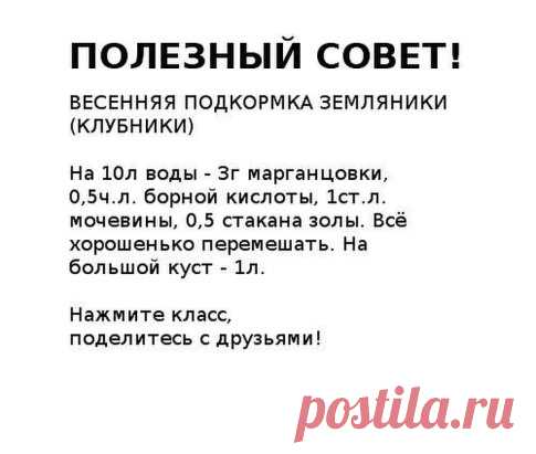 (42) Одноклассники