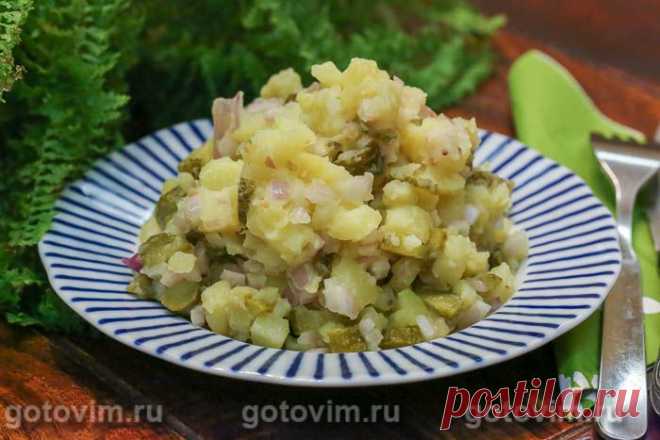 Немецкий картофельный салат с луком и огурцами. Рецепт с фото / Готовим.РУ
