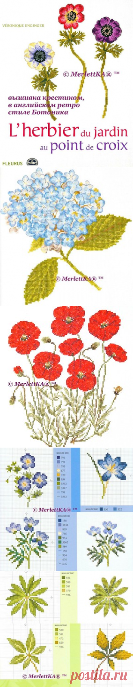 Вероник Ажинер: Cадовые цветы 🍓 L'herbier
