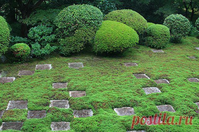 Создаем садик в японском стиле | Дачный участок