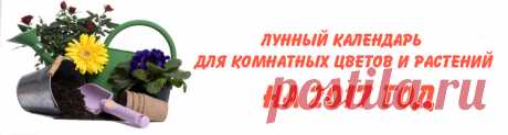 Лунный календарь для комнатных цветов и растений на 2017 год . 
Лунный календарь для комнатных цветов и растений на 2017 год с указанием благоприятных дней для полива, пересадки, рыхления почвы, посадки и размножения растений. А так же указанием дней покоя. 
Данн…
