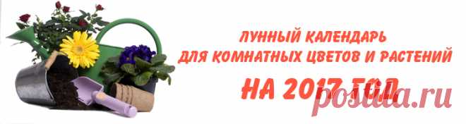 Лунный календарь для комнатных цветов и растений на 2017 год . 
Лунный календарь для комнатных цветов и растений на 2017 год с указанием благоприятных дней для полива, пересадки, рыхления почвы, посадки и размножения растений. А так же указанием дней покоя. 
Данн…