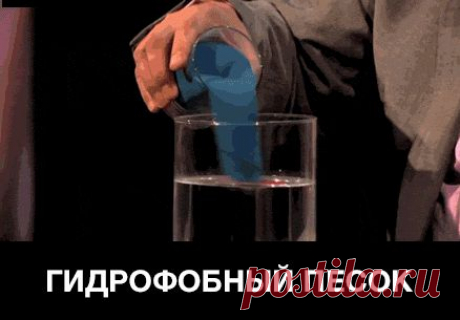 Google+