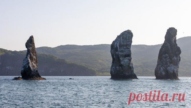 За сутки на Камчатке зафиксировали более 10 афтершоков. В период с 6 по 7 декабря на Камчатке было зафиксировано 12 афтершоков произошедшего 30 июля этого года землетрясения. Об этом сообщило ГУ МЧС России по Камчатскому краю. По информации ученых, на этой неделе уровень сейсмичности ...