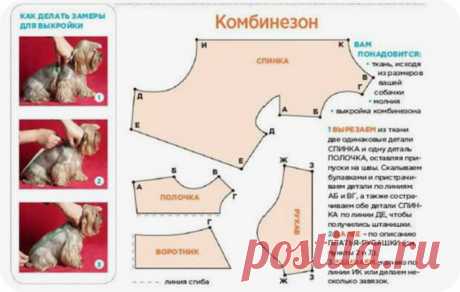 Одежда для собак своими руками выкройки. Сшить одежду для собак своими руками, из старых вещей, из свитера, теплую одежду. Как пошить одежду для собаки своими руками