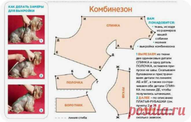 Одежда для собак своими руками выкройки. Сшить одежду для собак своими руками, из старых вещей, из свитера, теплую одежду. Как пошить одежду для собаки своими руками