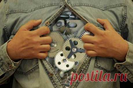 “Распорядок дня” нашего организма - Всегда в форме!