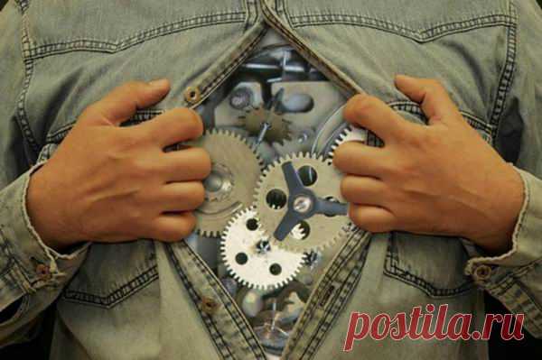 “Распорядок дня” нашего организма - Всегда в форме!