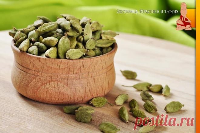 ПРЯНОСТЬ, ДАРУЮЩАЯ ЯСНЫЙ УМ Приобретя кардамон... - Эзотерика. Практика_и_теория
