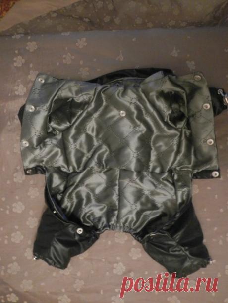 Летний дождевик и осенний для йорка -мальчика с прорезью - Страница 2 - Форум НАШИ ЙОРКИ И ИХ ДРУЗЬЯ Просматривайте этот и другие пины на доске одежда для йоркширского терьера пользователя Елена.
Теги
Летний дождевик и летний дождевик для мопса - мальчика - страница 2 - Форум "Наш йорк"
Просматривайте этот и другие пины на доске my puppy пользователя Ksenia Pestova.