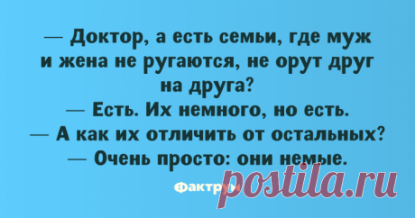 Бесподобные анекдоты, ради которых стоит сделать перерыв • Фактрум