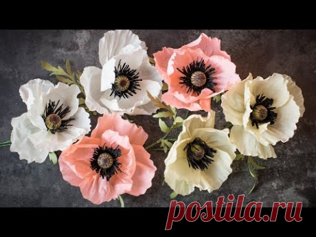 How to Make a Crepe Paper Poppy