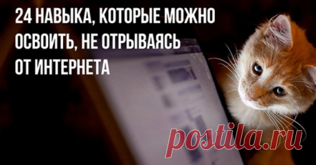 24 навыка, которые можно освоить, не отрываясь от интернета