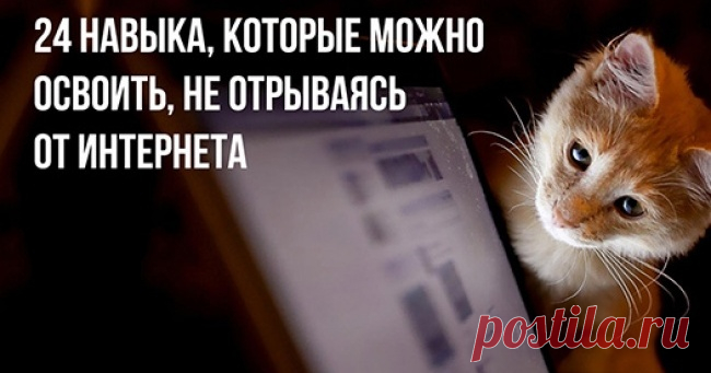 24 навыка, которые можно освоить, не отрываясь от интернета
