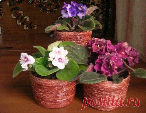 КАШПО СВОИМИ РУКАМИ | Ovlako   | Яндекс Дзен