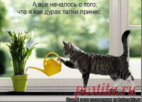 Мой Мир@Mail.Ru