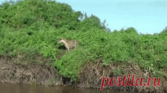 Охотник
