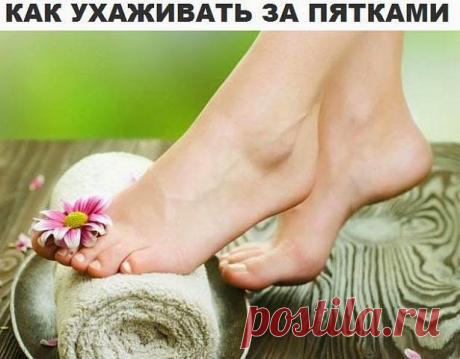 ПЯТОЧКИ
