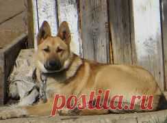 (1) Одноклассники