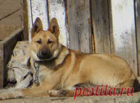 (1) Одноклассники