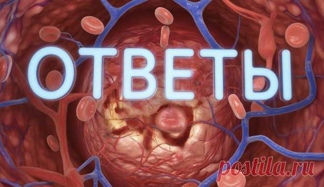 Ответы уже ждут тебя! | PortalBio