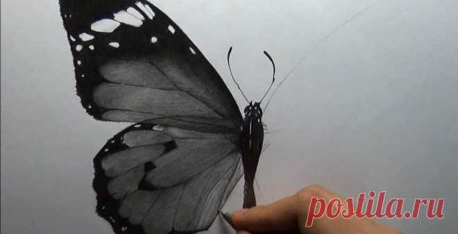 Мастер-Класс от Ирины Рогулиной "Бабочка"
