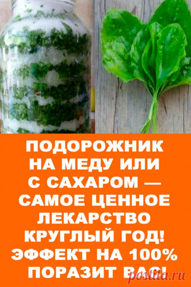 ПОДОРОЖНИК НА МЕДУ ИЛИ С САХАРОМ — САМОЕ ЦЕННОЕ ЛЕКАРСТВО КРУГЛЫЙ ГОД! ЭФФЕКТ НА 100% ПОРАЗИТ ВАС! — Женские Советы