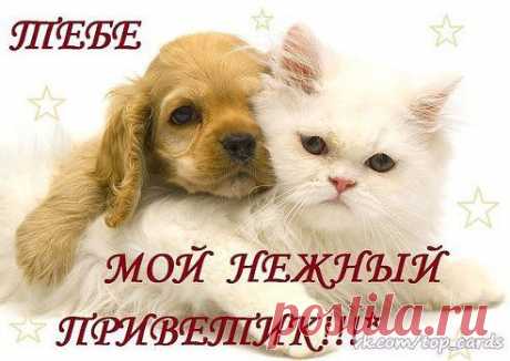 (57) Одноклассники