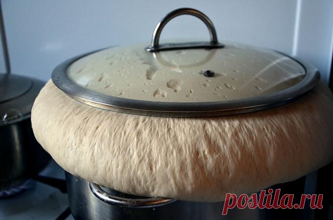 (6) Одноклассники