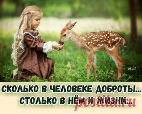 «️Наверно, мир был бы куда лучше, если бы мы научились самым элементарным вещам: благодарить, не завидовать, не обманывать, прощать, отвечать добром хотя бы за добро… почему это так сложно? Я не знаю, даже сейчас…»