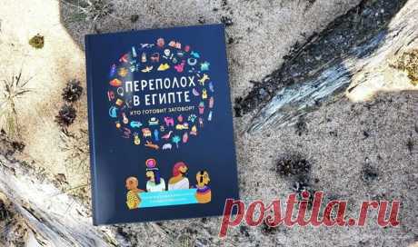&quot;Ты находишься в самом сердце Египта, страны грандиозных пирамид, палящего солнца, ядовитых змей и великих фараонов. Добро пожаловать в Фивы, в 1255 год до нашей эры. Хорошо жить в этом прекрасном городе. Можно кататься на ладье, гладить гриву льва и лакомиться сладким виноградом. Но в городе случилась беда: дело в том, что правителю Египта, фараону Рамсесу II, угрожает смертельная опасность. Если с ним что-нибудь случится, вся страна погрузится в пучину бед. Помочь ему можешь только ты.…