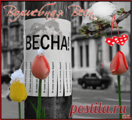 Группа: • День Рождения!! • Поздравляем Своих Друзей, Родных и Близких !