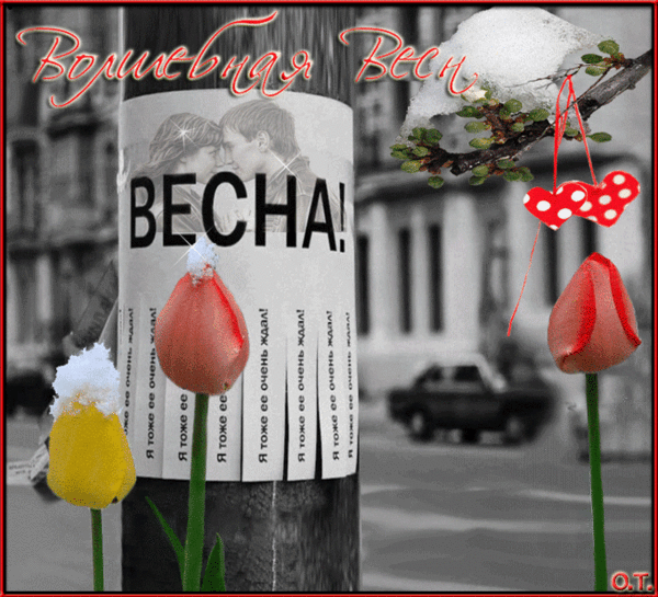 Группа: • День Рождения!! • Поздравляем Своих Друзей, Родных и Близких !