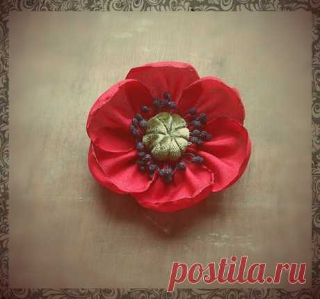 (106) Facebook  https://www.facebook.com/photo.php?fbid=929930397081191&amp;set=a.665573196850247.1073741832.100001927177309&amp;type=3&amp;theater
