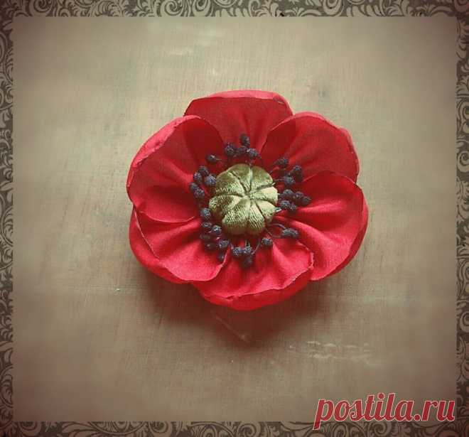 (106) Facebook  https://www.facebook.com/photo.php?fbid=929930397081191&set=a.665573196850247.1073741832.100001927177309&type=3&theater