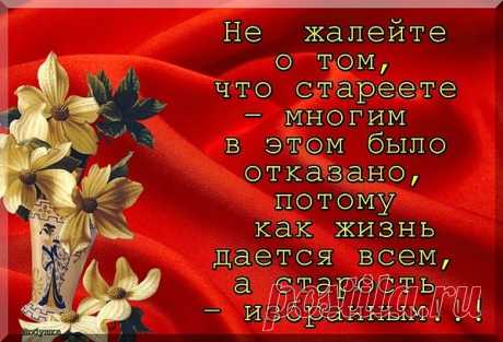 Интересные новости